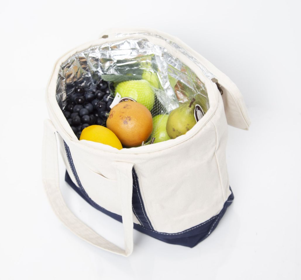 Canvas Insulated Cooler