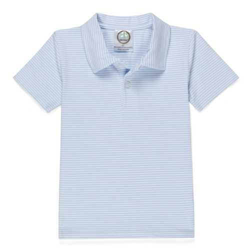 Blue Striped Polo