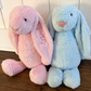 Personalized Plush Bunny