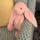 Personalized Plush Bunny