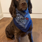 Personalized Bandana
