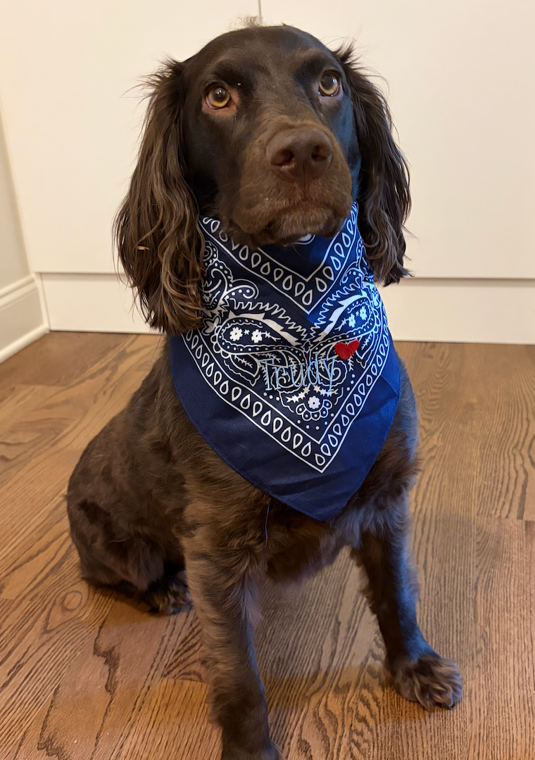 Personalized Bandana